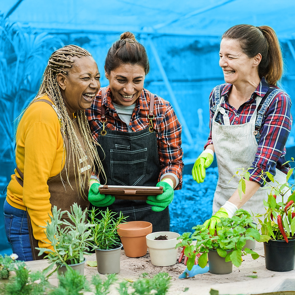 Social_Solutions_Sfeerfoto_WatWijDoen_1